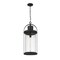 Z-Lite Roundhouse 1 Light Outdoor Chain Mount Ceiling Fixture, Black And Clear Seedy 569CHXL-BK - alternate 6